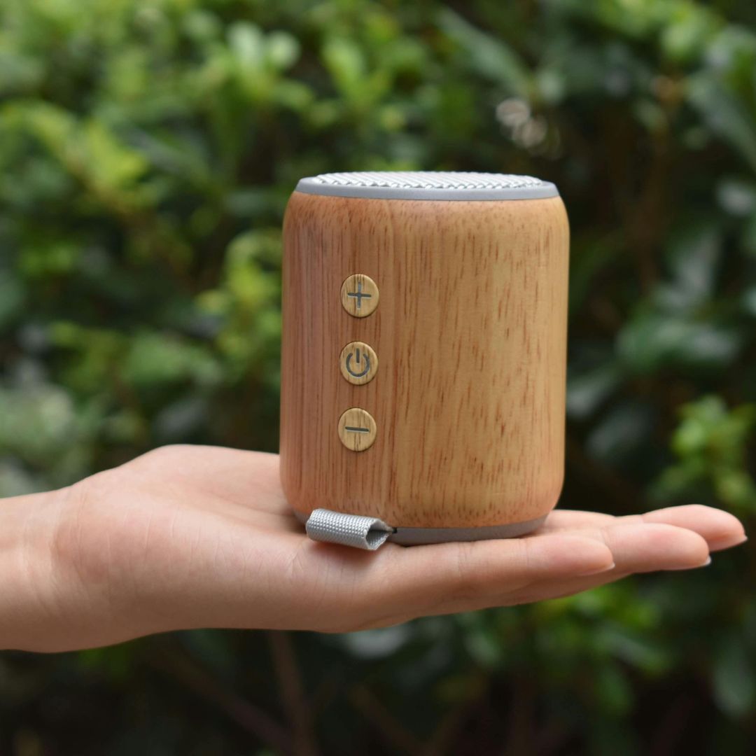 Audio Devices