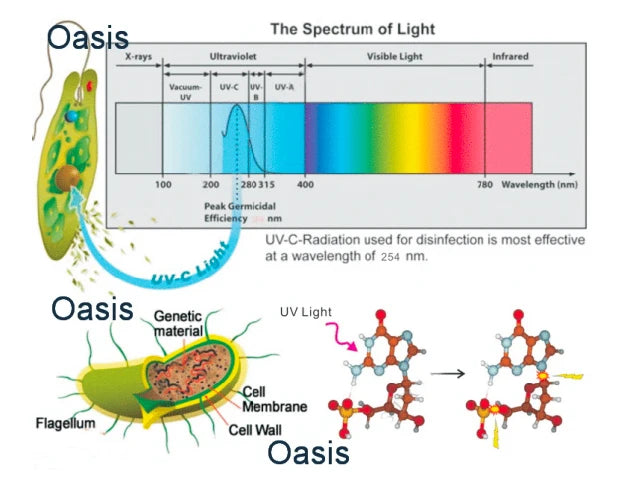 Water Vapor Fireplace Germicidal UV Lamps Customized 3D Flame Electric Fireplace Tv Stand Inserts Living Room Decorative
