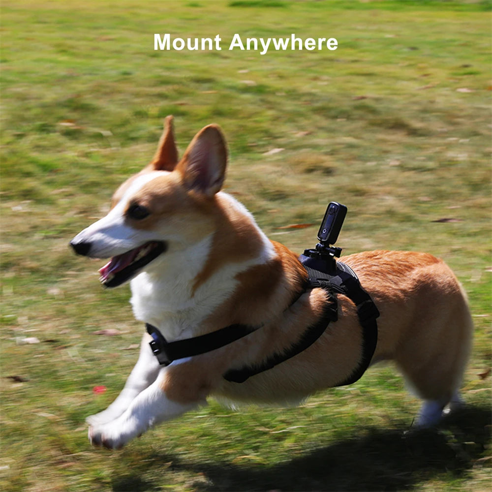 SJCAM C100 Plus 4K Waterproof Action Camera