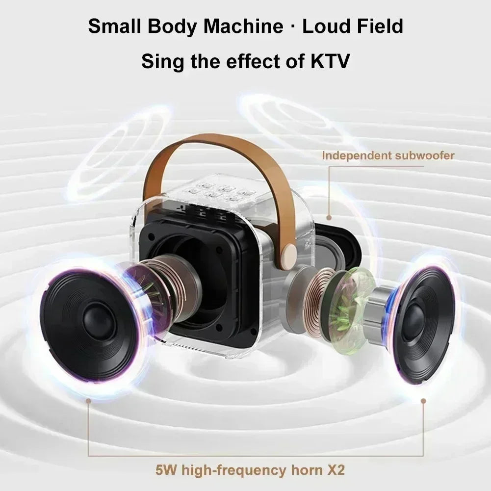 K12 Portable Bluetooth Karaoke Speaker with Dual Mics