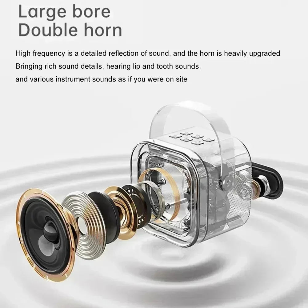 K12 Portable Bluetooth Karaoke Speaker with Dual Mics